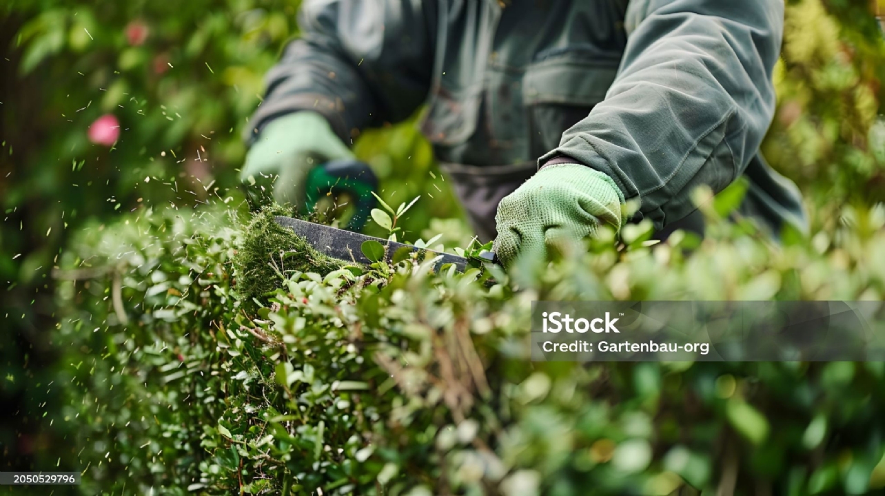 istockphoto-2050529796-2048x2048