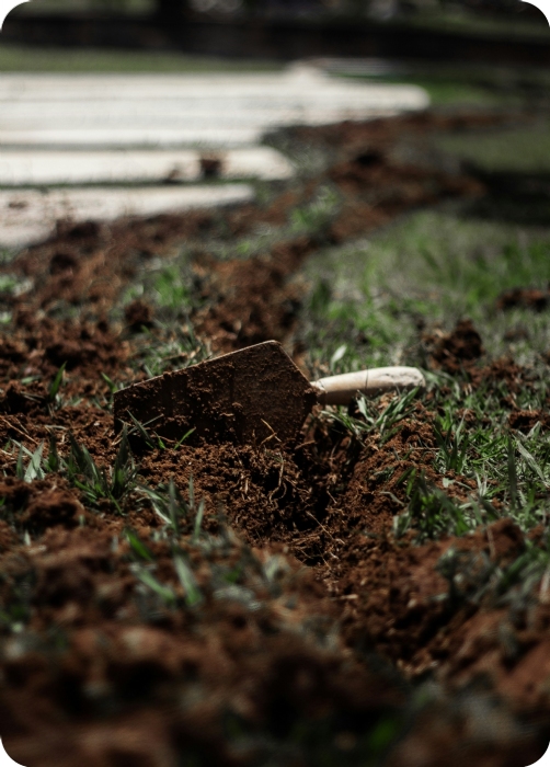 lucas-de-moura-1vC7xcGVcNA-unsplash