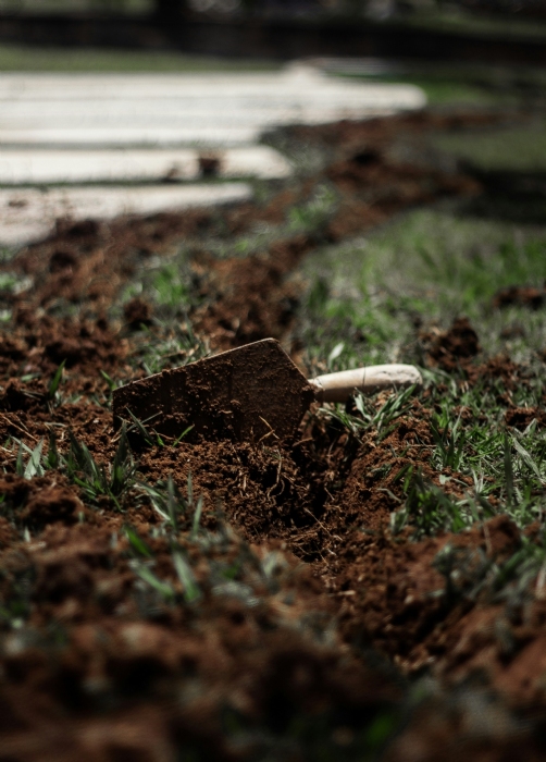 lucas-de-moura-1vC7xcGVcNA-unsplash